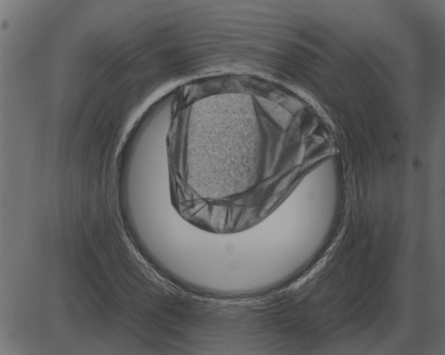 X0000087401118200705181325