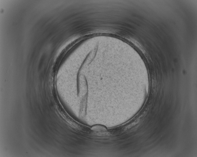 X0000087401119200705181325