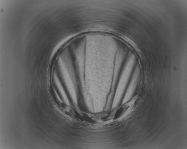 X0000087401120200705181325