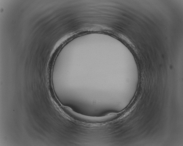 X0000087401122200705181325