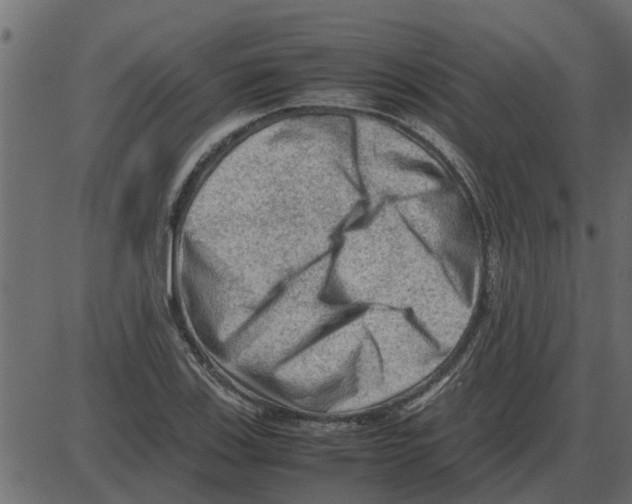 X0000087401123200705181325