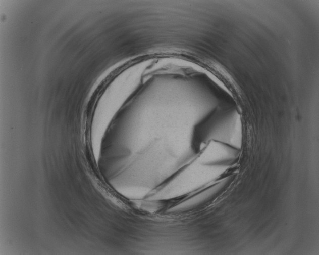 X0000087401124200705181325