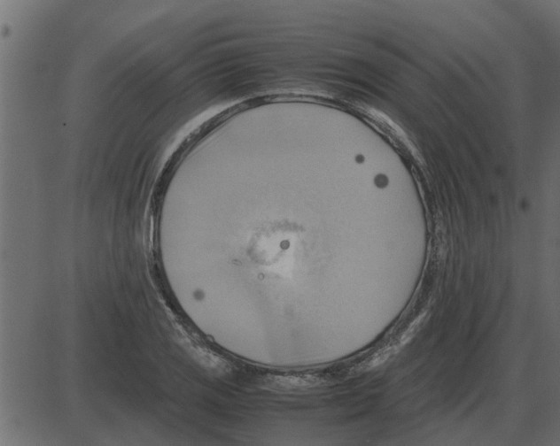 X0000087401125200705181325