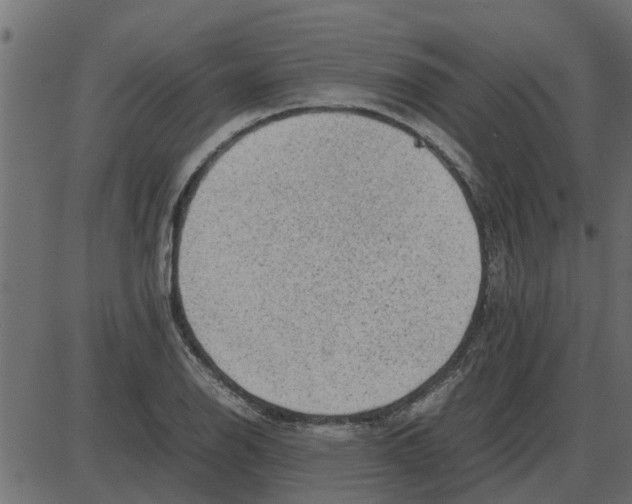 X0000087401126200705181325