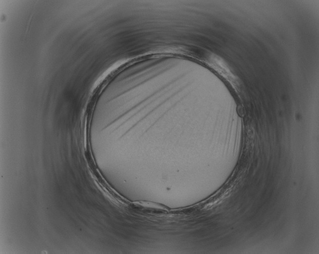 X0000087401127200705181325