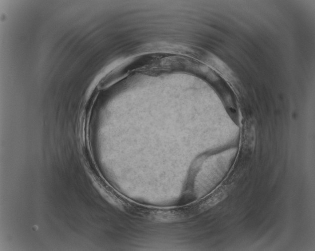 X0000087401128200705181325