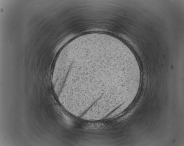 X0000087401129200705181326