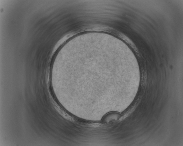 X0000087401130200705181326