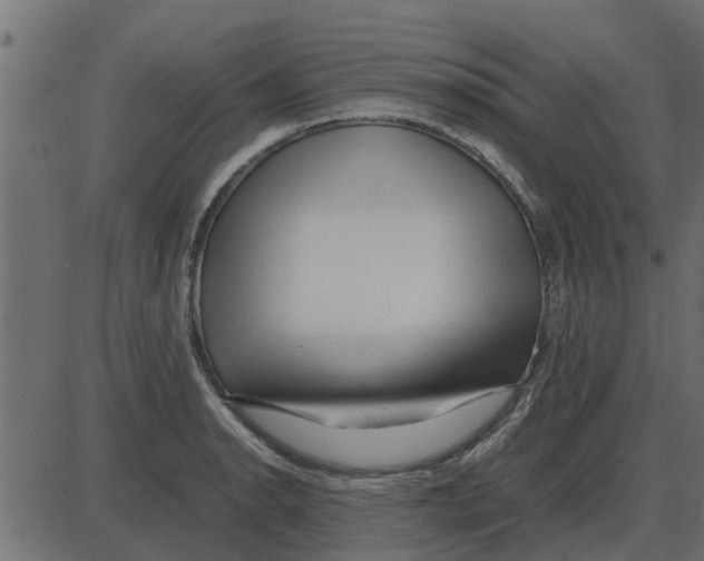 X0000087401134200705181326