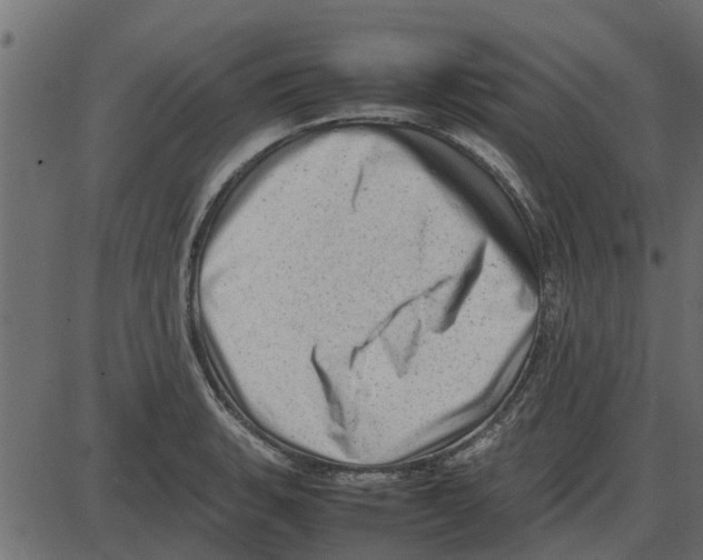 X0000087401135200705181326