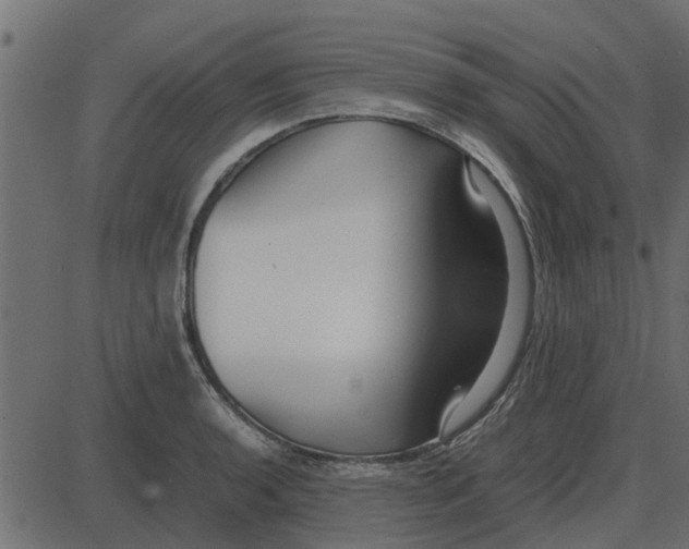 X0000087401136200705181326