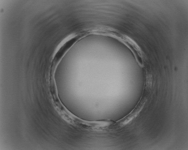 X0000087401138200705181326