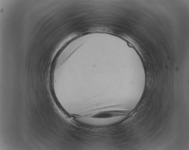 X0000087401139200705181326