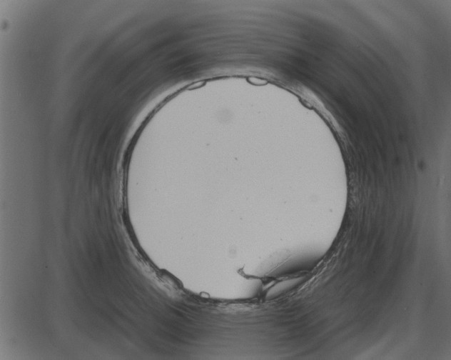 X0000087401140200705181326