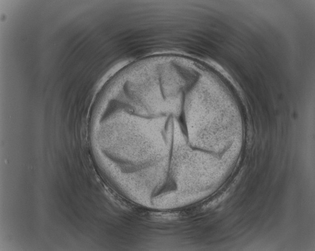 X0000087401145200705181326