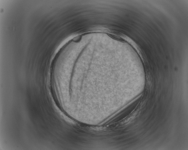 X0000087401147200705181326