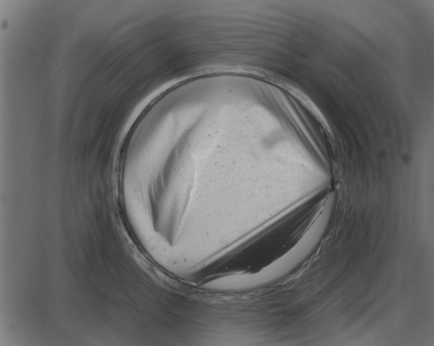 X0000087401148200705181326