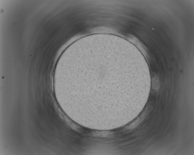 X0000087401150200705181326