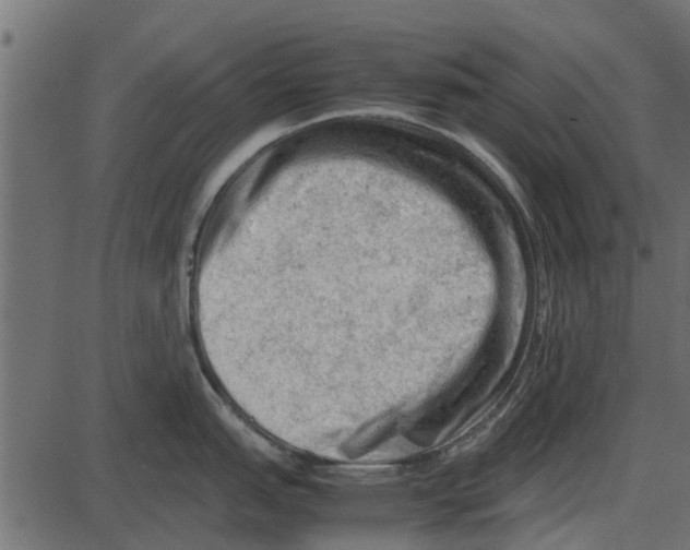 X0000087401151200705181326