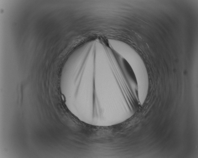 X0000087401153200705181325