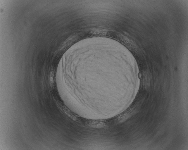 X0000087401154200705181325