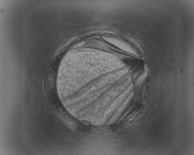 X0000087401159200705181325