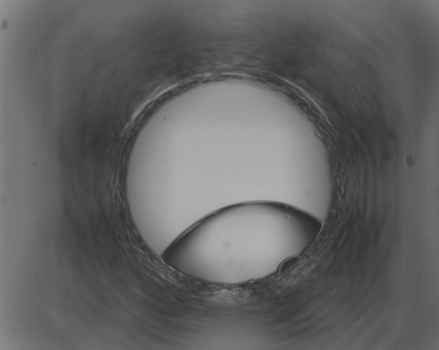 X0000087401160200705181325