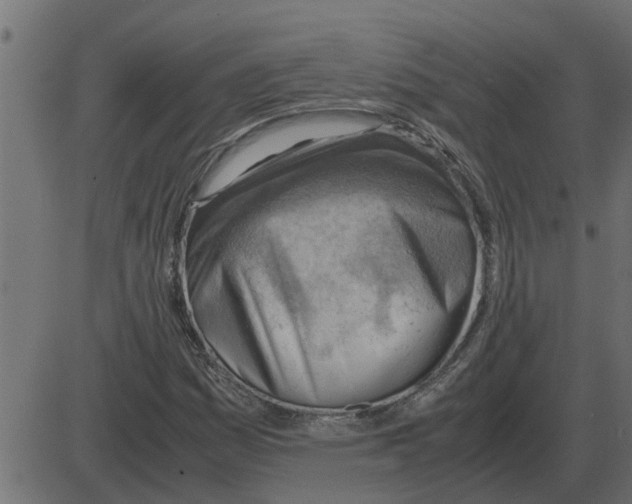 X0000087401161200705181325