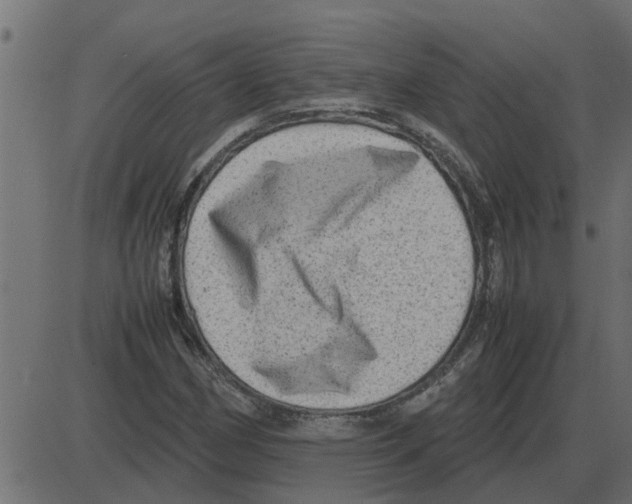 X0000087401162200705181325