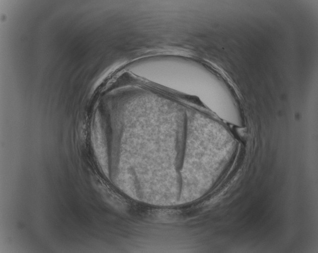 X0000087401163200705181325