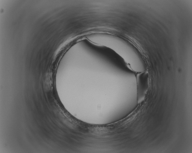 X0000087401164200705181325