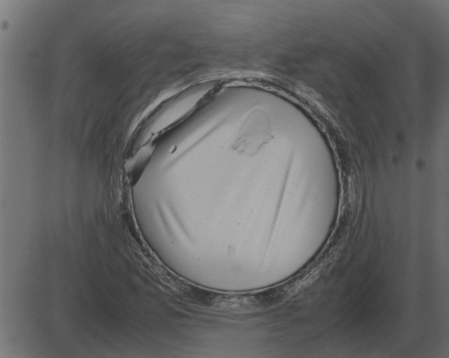 X0000087401165200705181325