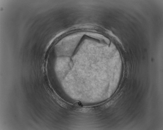 X0000087401166200705181325