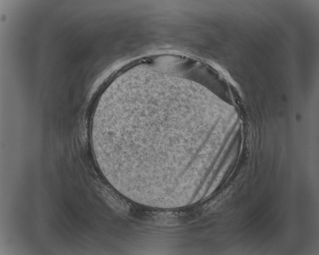 X0000087401167200705181325