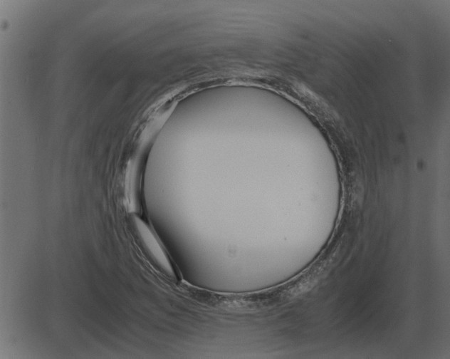 X0000087401169200705181325