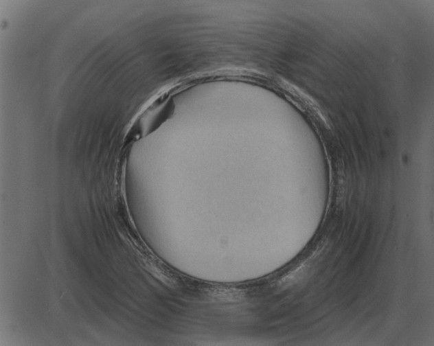 X0000087401170200705181325