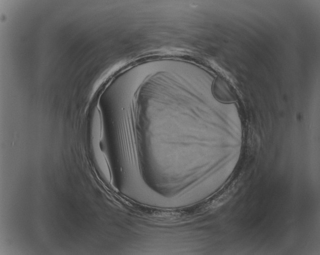 X0000087401171200705181325