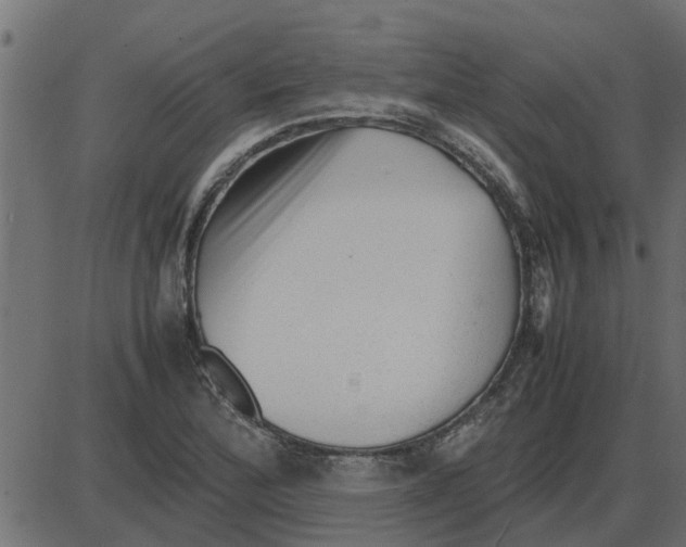 X0000087401172200705181325