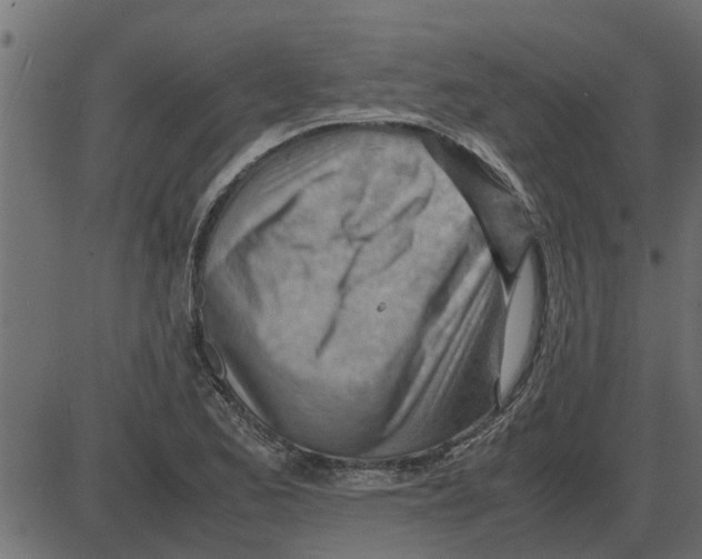 X0000087401173200705181325