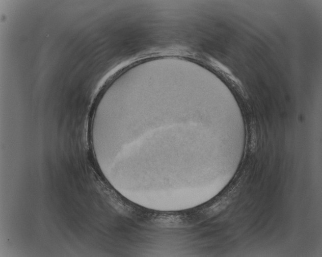 X0000087401174200705181325