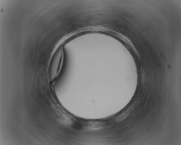 X0000087401176200705181325