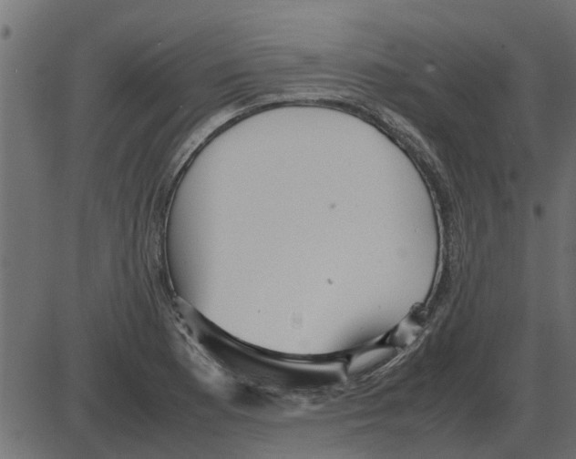 X0000087401177200705181325