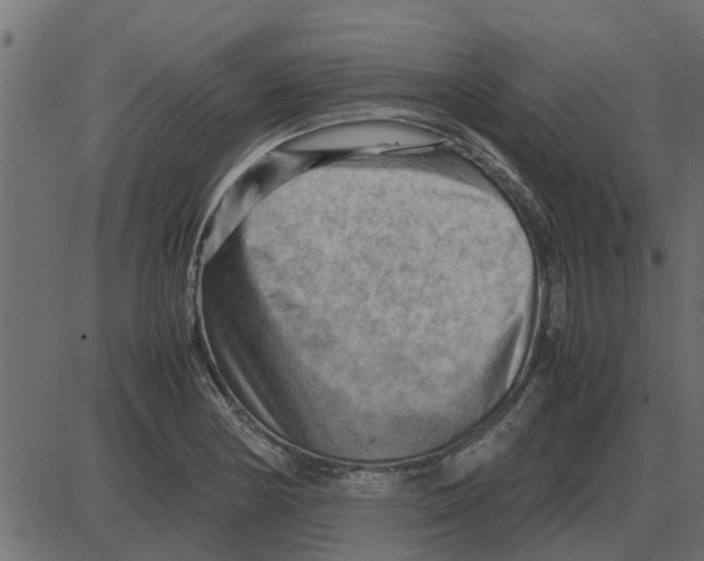 X0000087401178200705181325