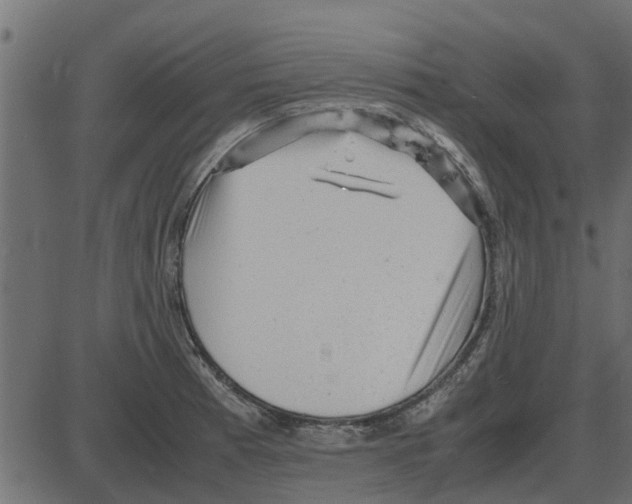 X0000087401185200705181325