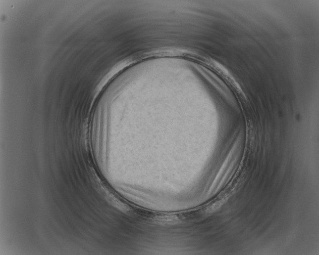 X0000087401186200705181325