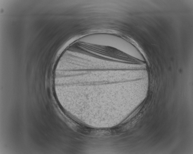 X0000087401187200705181325