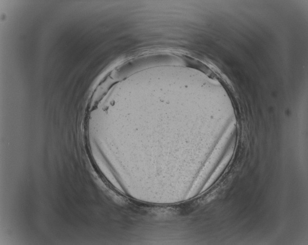 X0000087401189200705181325