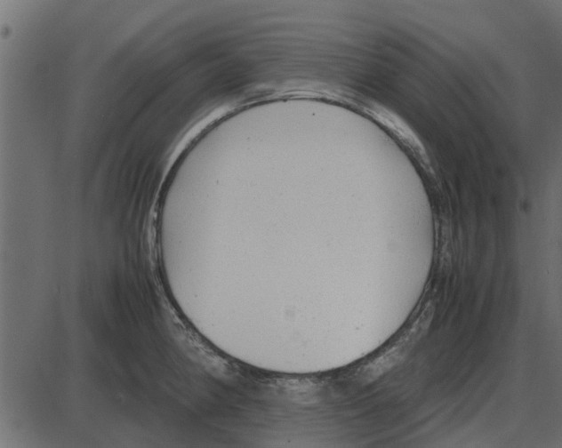 X0000087401190200705181324