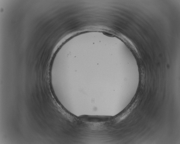 X0000087401192200705181324