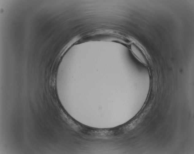 X0000087401193200705181324